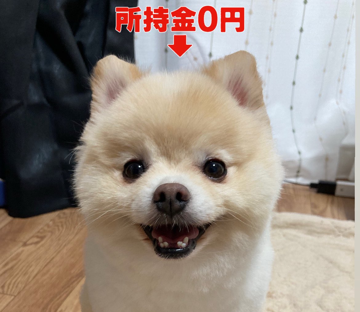 ぽんすけ大先生 (@yuyuyuyumee) / Posts / X