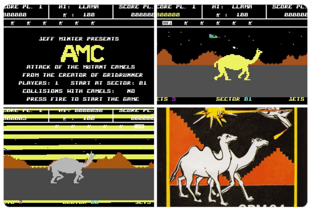 The #C64 A to Z

My Fave A Games No.23

Attack of the Mutant Camels

Inspired by the Atari VCS game Empire Strikes Back, Minter’s mutant blaster is packed with addictive arcade action. Its trippy sound &amp; psychedelic visuals turned blasting giant camels into a surreal C64 classic.