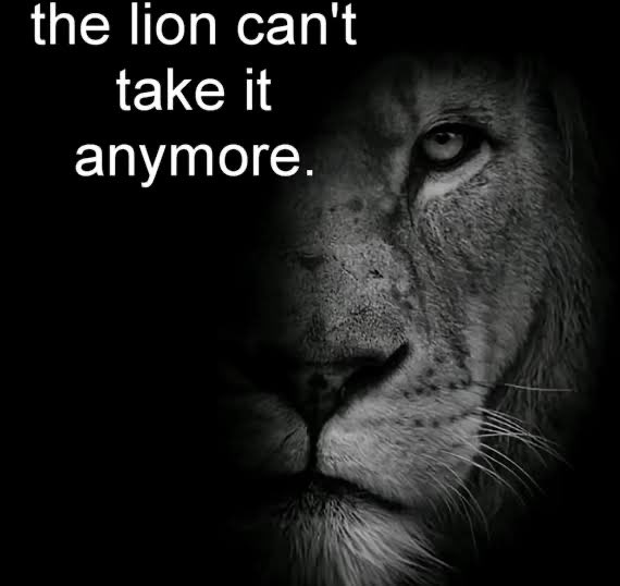 crypto_joey's tweet image. 