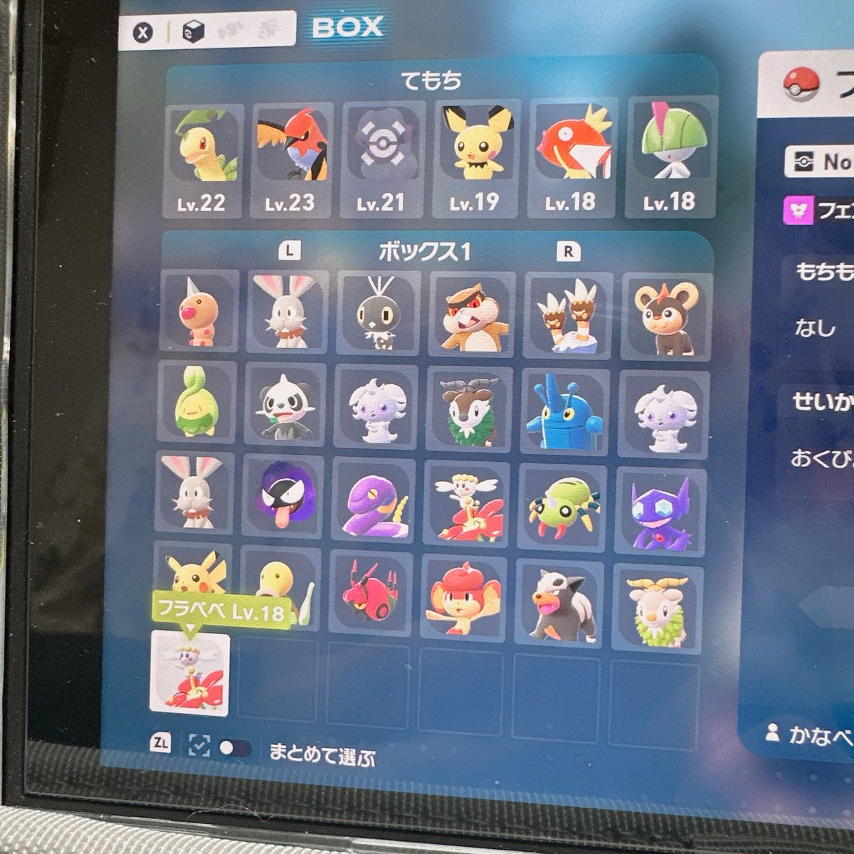 かめっち🦖 (@kame_tamagotchi) / Posts / X