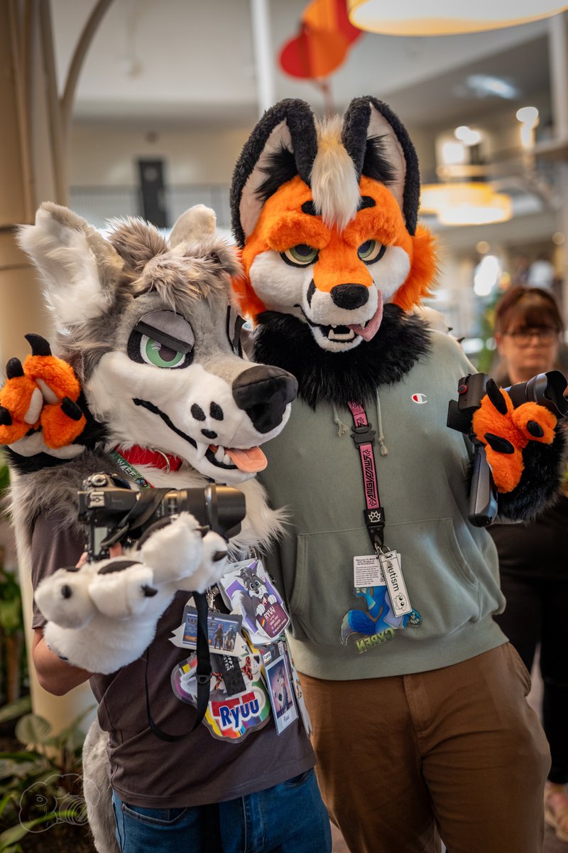 Two Furs, Just Snapping pictures and making memories for everyone at Conventions :P
#Furry #fursuit #fursuitfriday

Photo by : <a href="/tatosnowleopard/">Snebs</a> 
🦊<a href="/cyrenfolf/">Cyren</a>