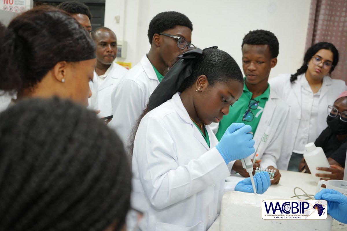WACCBIP_UG's tweet photo. Day 2 of the GIS students’ practical sessions is ongoing in the bioinformatics lab at @WACCBIP_UG.
After wrapping up their wet lab work from yesterday, the students are being introduced to biological databases — PlasmoDB for malaria data and NCBI for general biological data. They’re also learning how to analyze sequencing reads, from QC to downstream analysis and visualization.