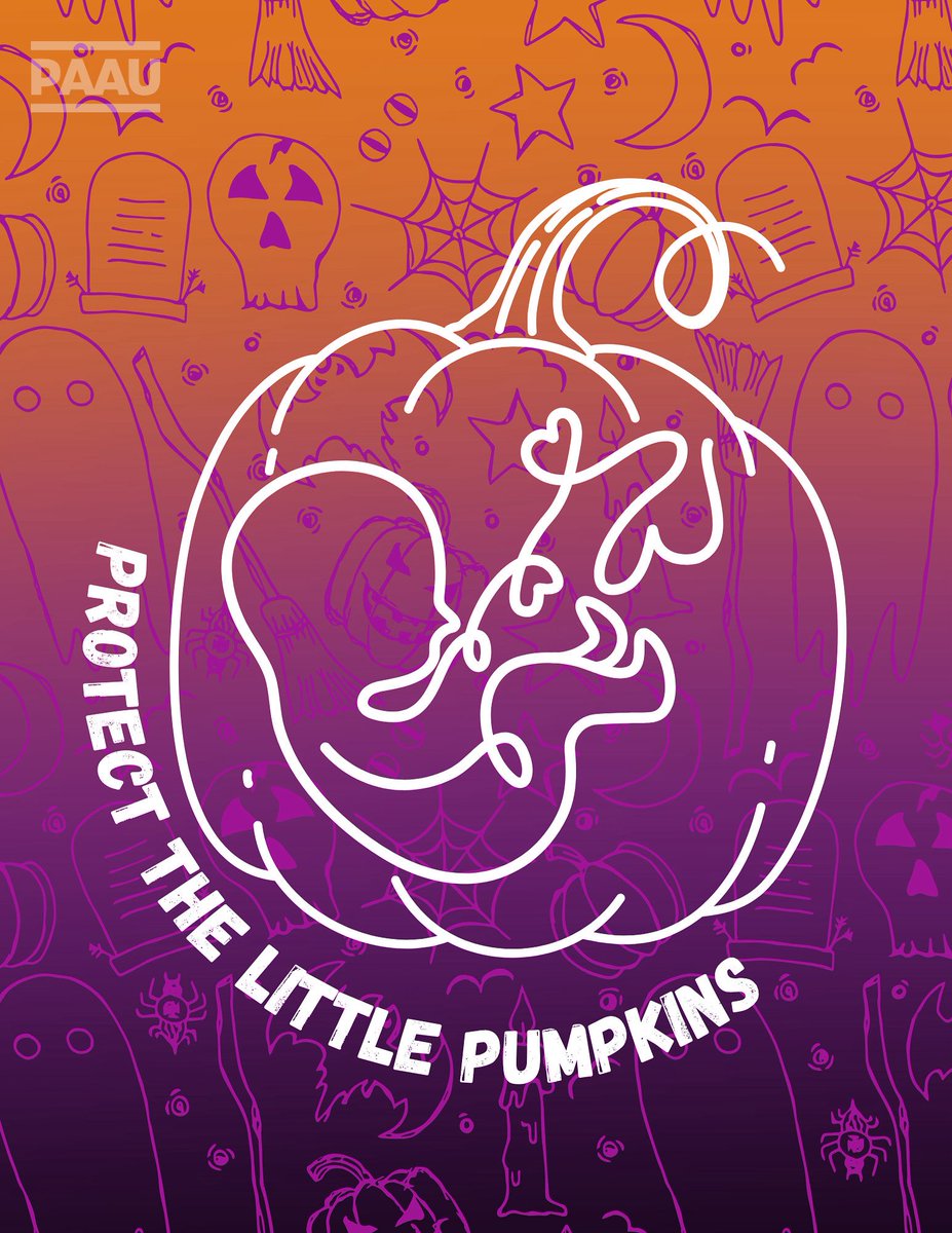 PAAU (@paaunow) on Twitter photo Happy spooky season! Protect pumpkins of every size 🤍🎃 Happy spooky season! Protect pumpkins of every size 🤍🎃
