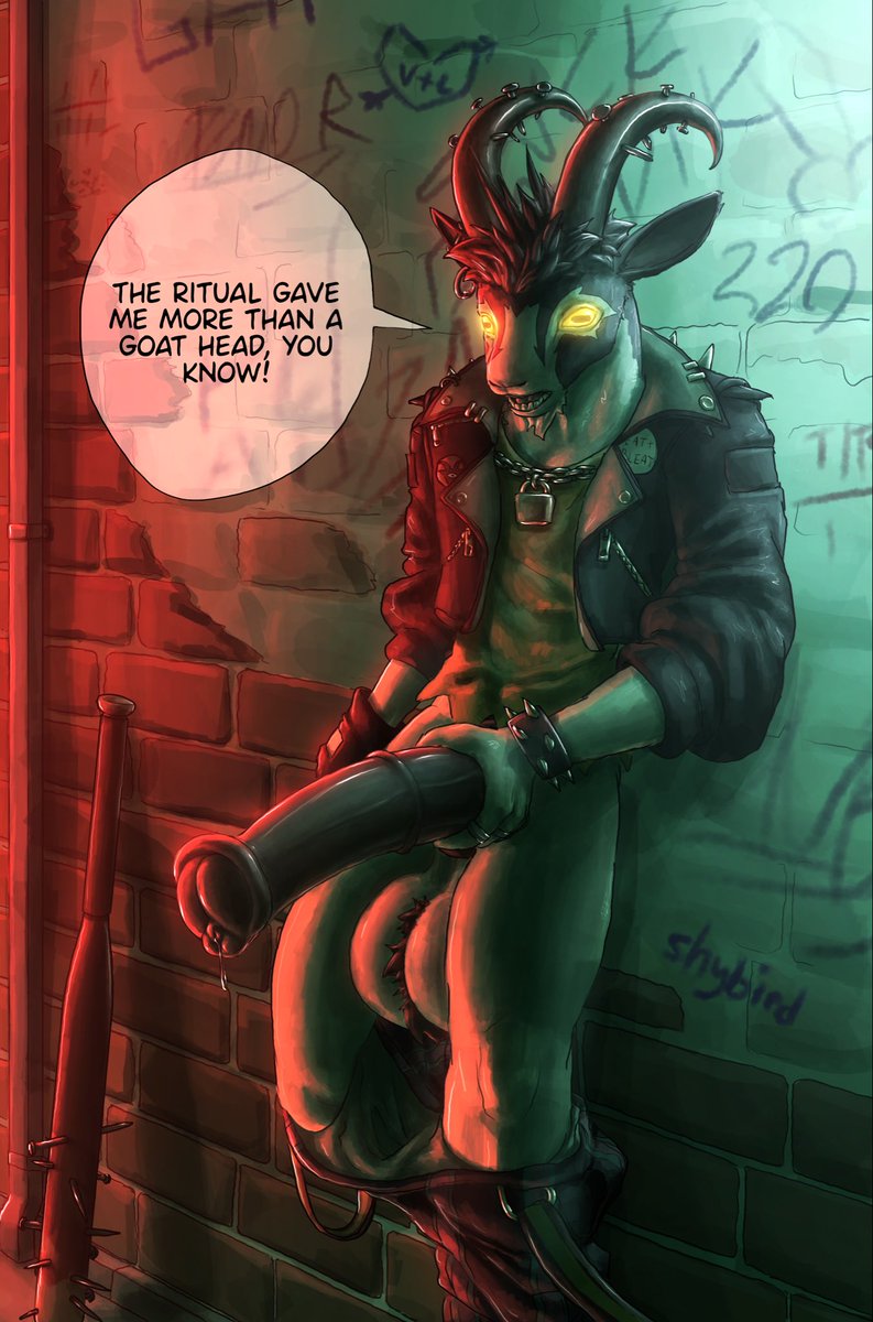 shybird 🔜 FWA tweet media