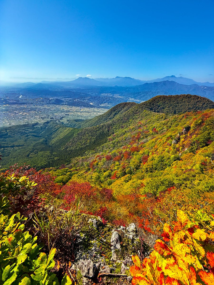 信州なかのX🌹 on X