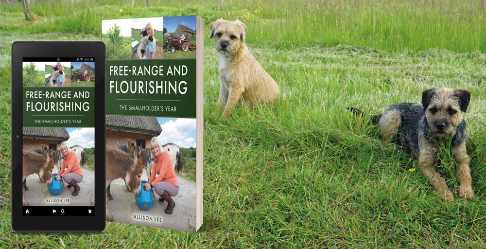 ‘Free-Range and Flourishing’ by Allison Lee
The perfect book for anyone considering establishing and running their own smallholding. Packed with helpful hints and advice for each season.
#NewBook #FreeRangeFarming
quillerpublishing.com/product/free-r…
