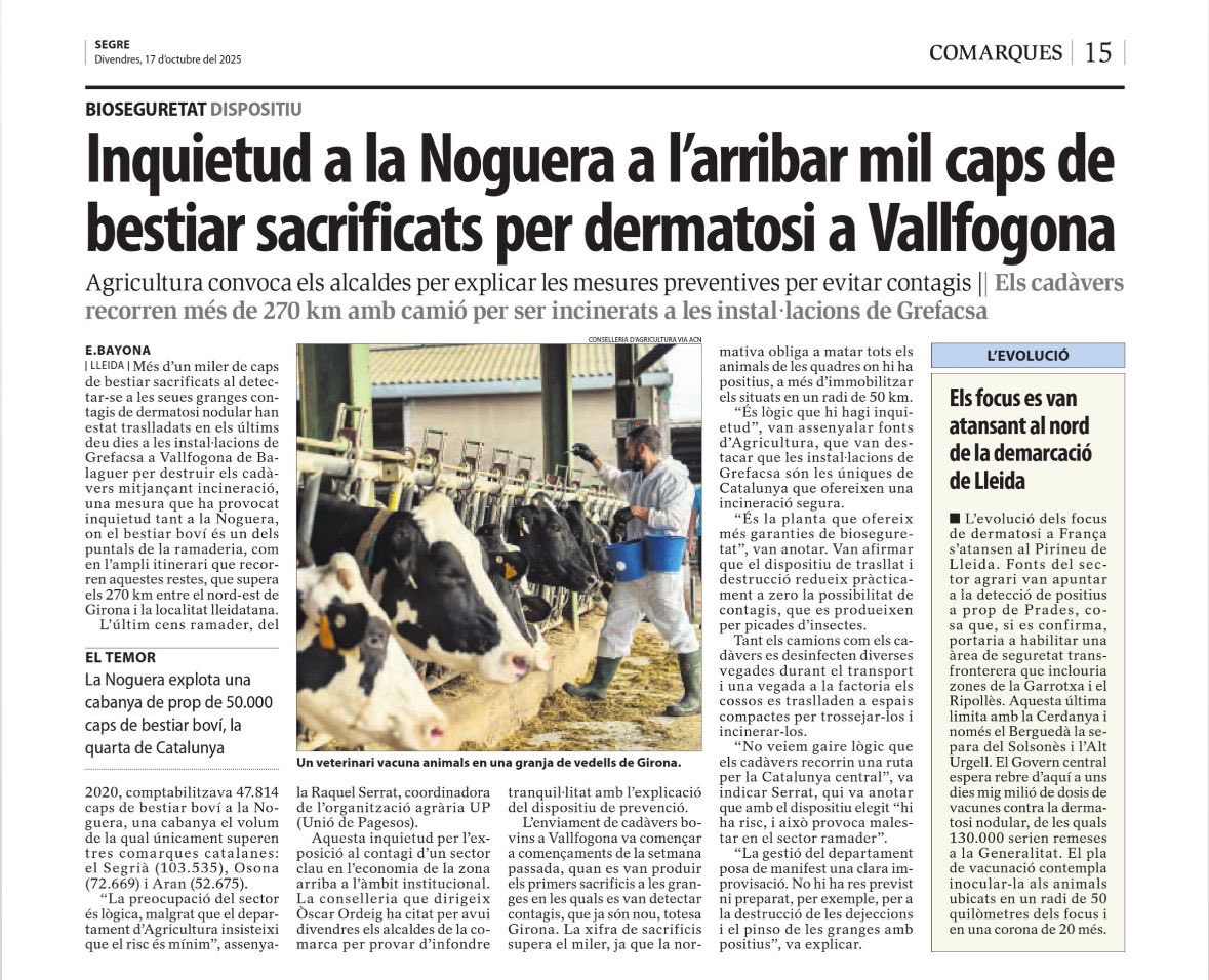 La Noguera te el 10% de les vaques lleteres de Catalunya.

Les restes animals dels buidats sanitaris fan quasi 300km per ser incinerats a Térmens. El risc 0 no existeix.

A què està esperant el departament per establir un radi de protecció al voltant de la planta i sol•licitar