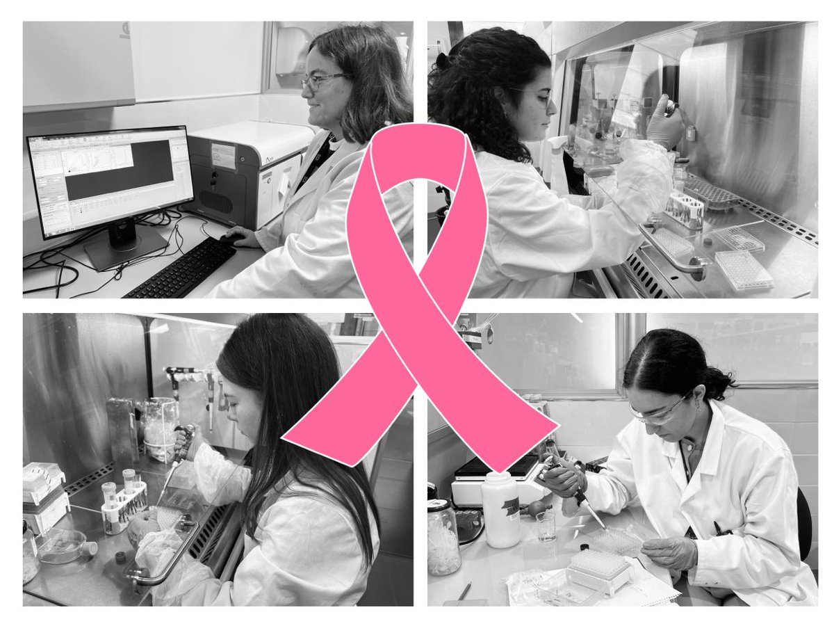 🎗 On #WorldBreastCancerDay, our #NanoTherapiesLab (<a href="/IQSbarcelona/">IQS Barcelona</a> <a href="/uramonllull/">U. Ramon Llull (URL)</a>)  reaffirms its commitment to developing nanomedicine-based therapies for breast cancer.

#Nanomedicine #Research #WomenInScience