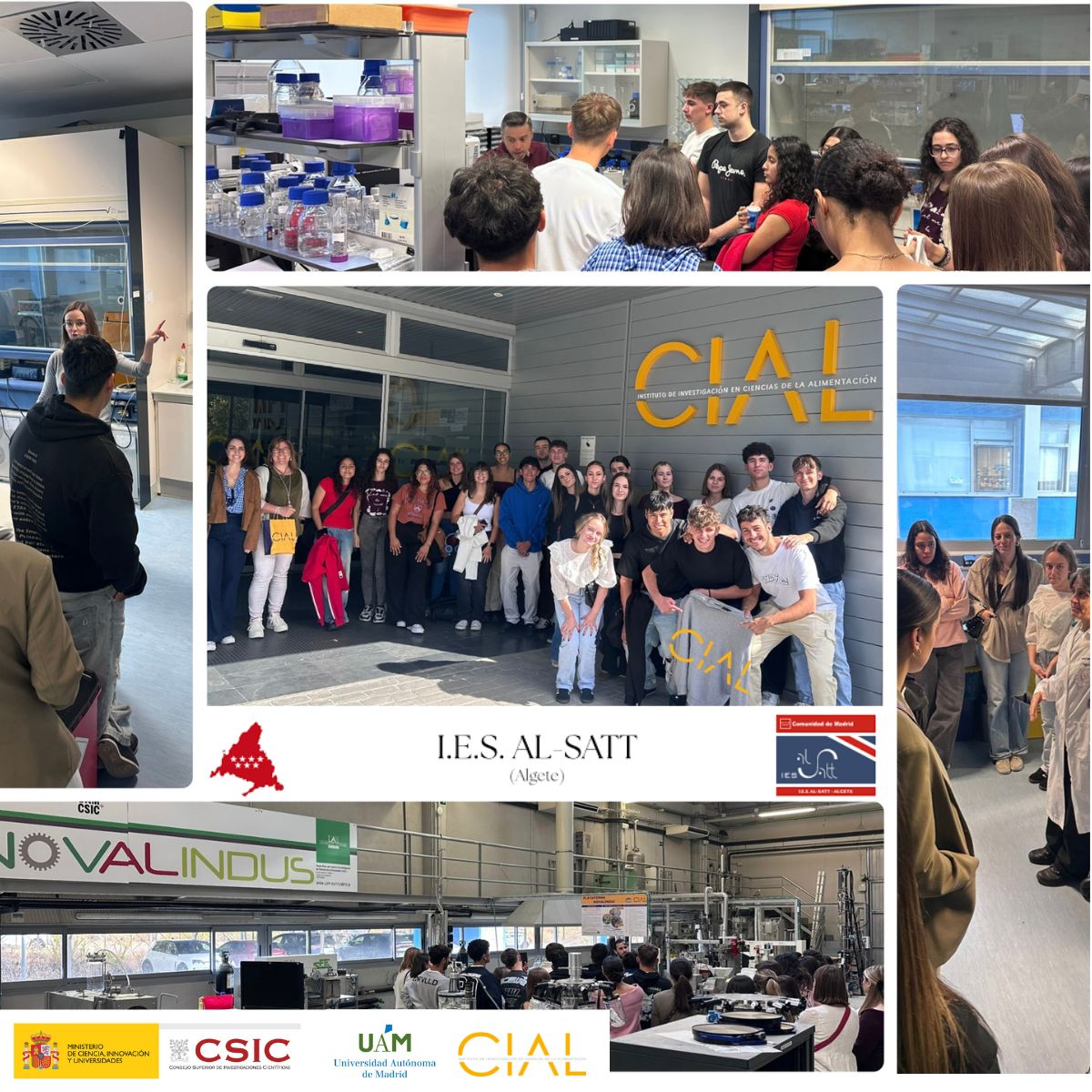 CIAL_CSIC_UAM's tweet image. ¡Jornada de Ciencia pura en el @CIAL_CSIC_UAM ! 🔬
Hemos recibido la visita estudiantes del #IESALSATT (Algete).
Han conocido de cerca nuestros laboratorios de Novalindus, Metabolómica, BAT y SIMGI.
¡El futuro de la investigación está asegurado!✨
#DivulgaciónCIAL #CienciaCSIC