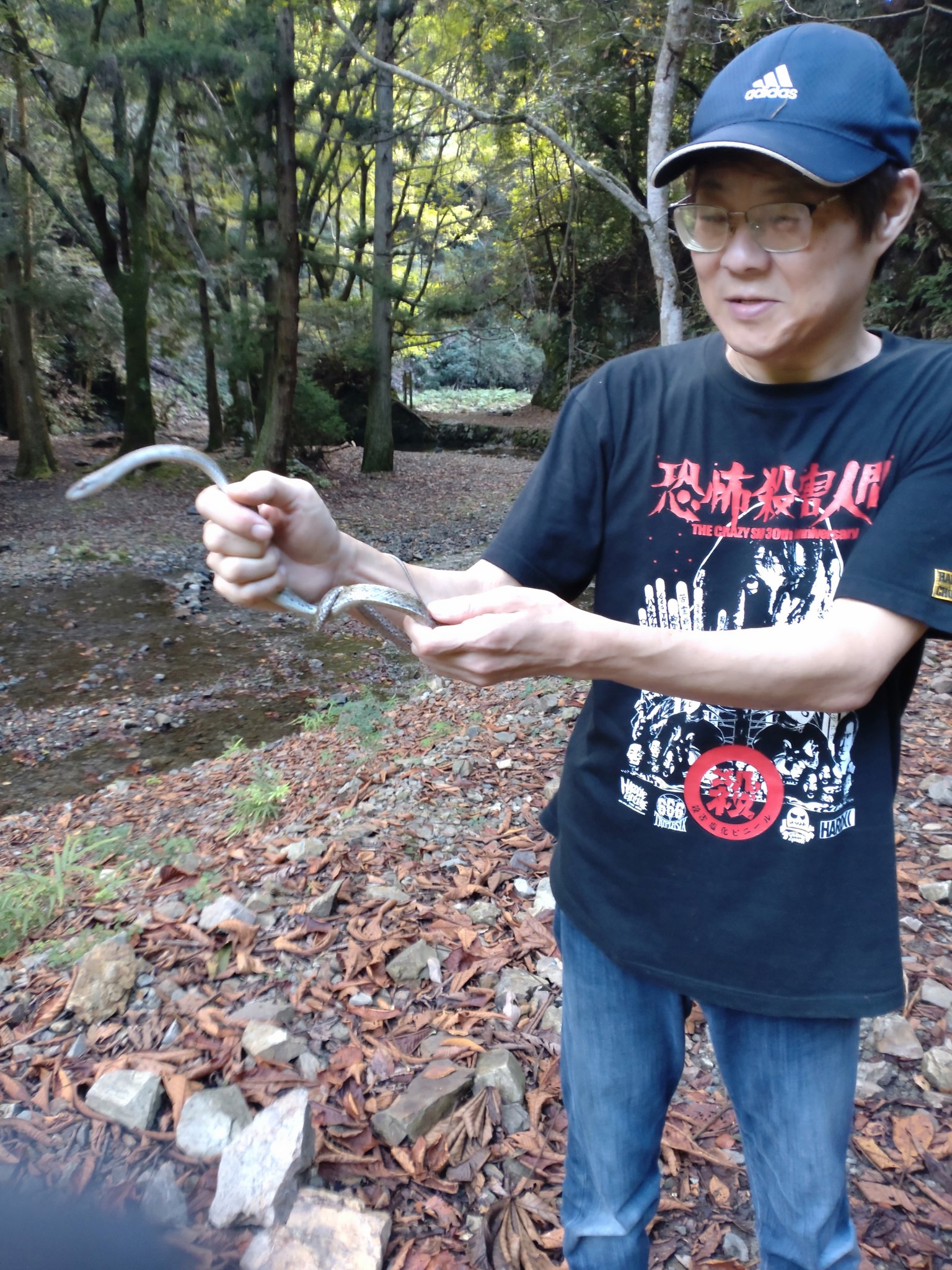 さくらのカメレオンさん (@3023gyma) / X