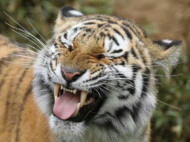 ueeeueueeuueeeueeuee😢😢😢😢