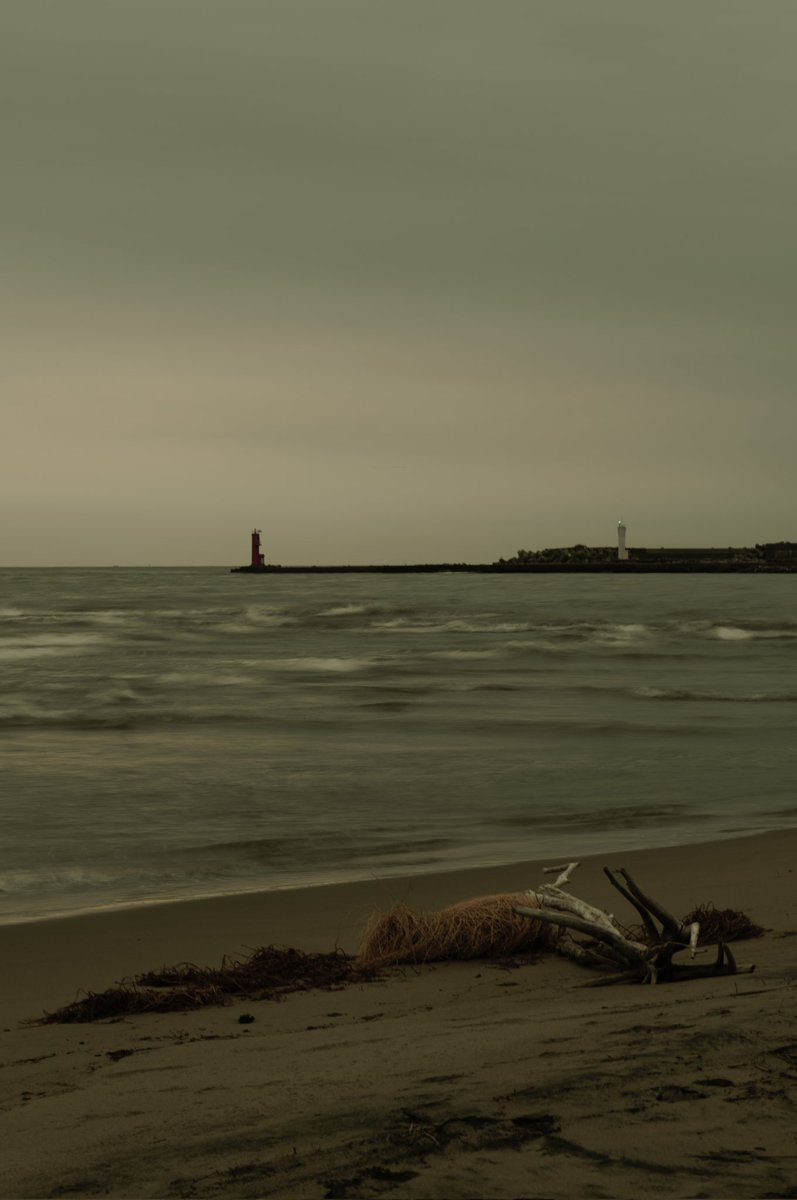 gaolang3c's tweet image. 流木
SIGMA fp L & Lumix S 24-105 F4 Macro O.I.S
#naturephotography #naturelovers #sigmafpl #sigma #beach #beachlife