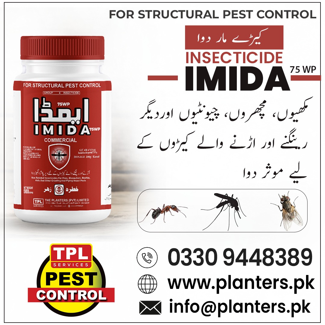 TPLPestControl's tweet image. کیڑے اب نہیں بچیں گے!
ایمیڈا — ہر اسپرے میں طاقت، ہر جگہ حفاظت

📞 Call: 0512303380
 website: planters.com
visit our daraz store: daraz.pk/shop/gsyzdz7m

#TPLPestControl #imida #Insecticide #MosquitoControl #FlyControl #TickControl #PestFreeHome #PublicHealth