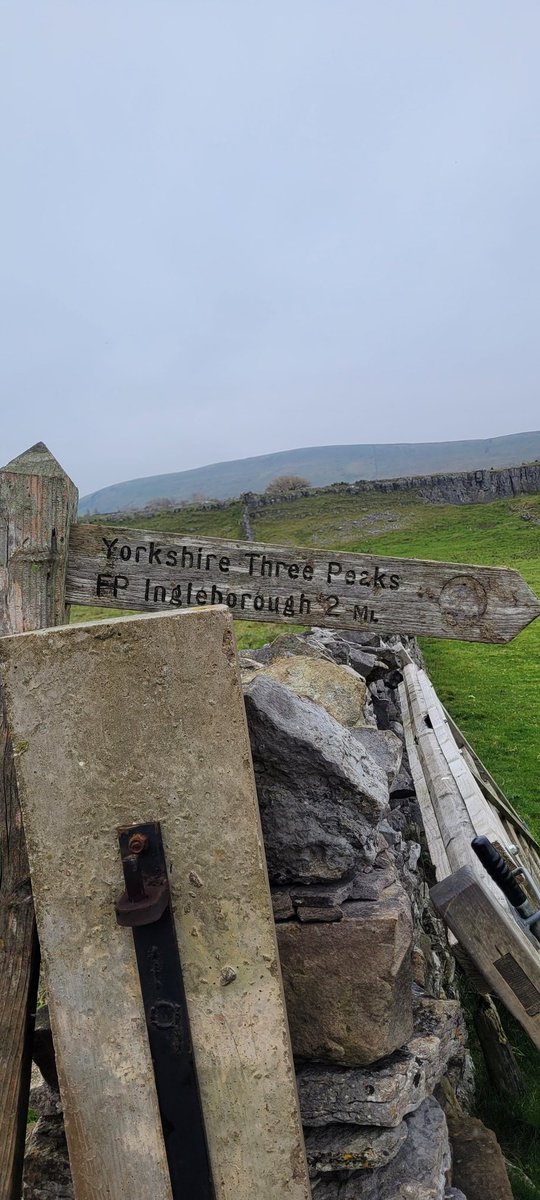 lycra lout tweet media