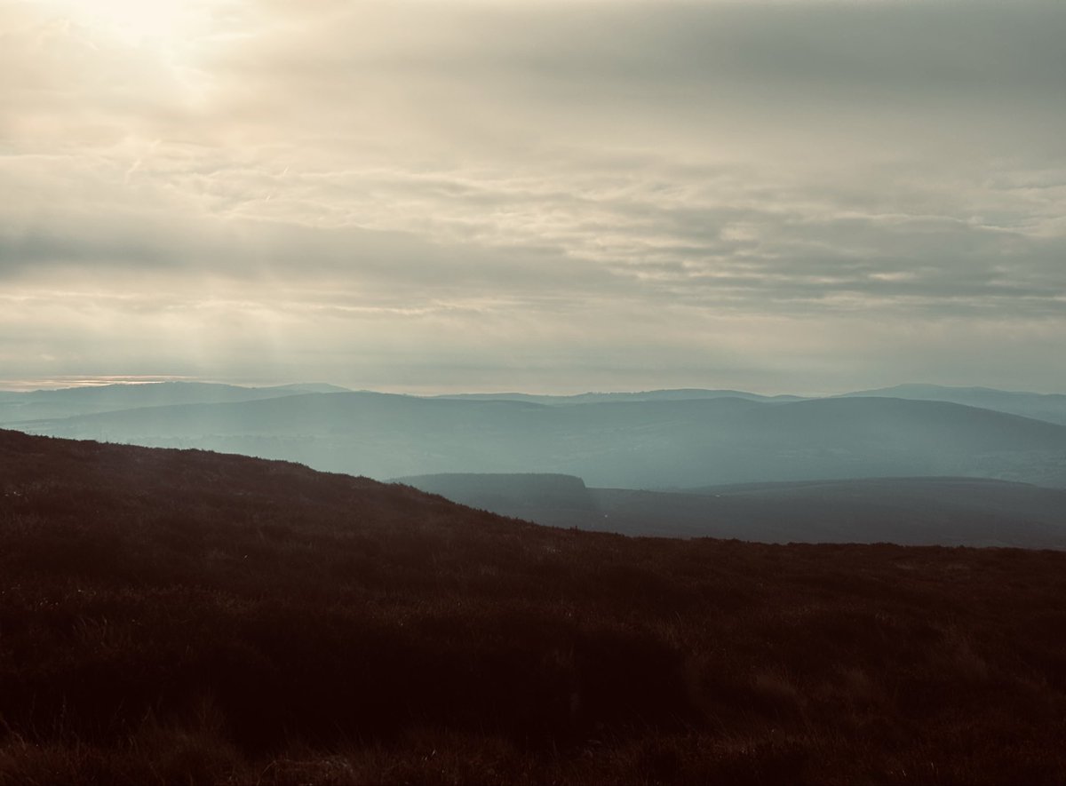 Becca3Artach's tweet photo. Pre-breakfast wander with my best girl #wicklowmountains #scarr #trailrun https://t.co/QHrqVRifba