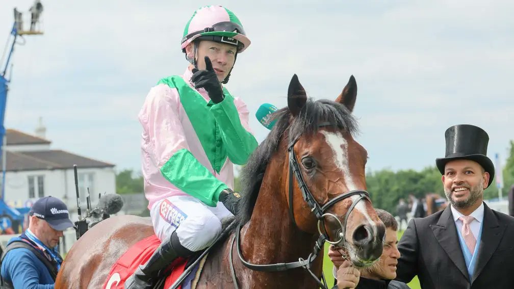 rpbloodstock's tweet image. &quot;He ticks all the boxes required to be a successful stallion.&quot;

Group 2 winner and Classic-placed Royal Scotsman to take up stud duties at Haras du Taillis 

Read more 👉 bit.ly/49aaGGv