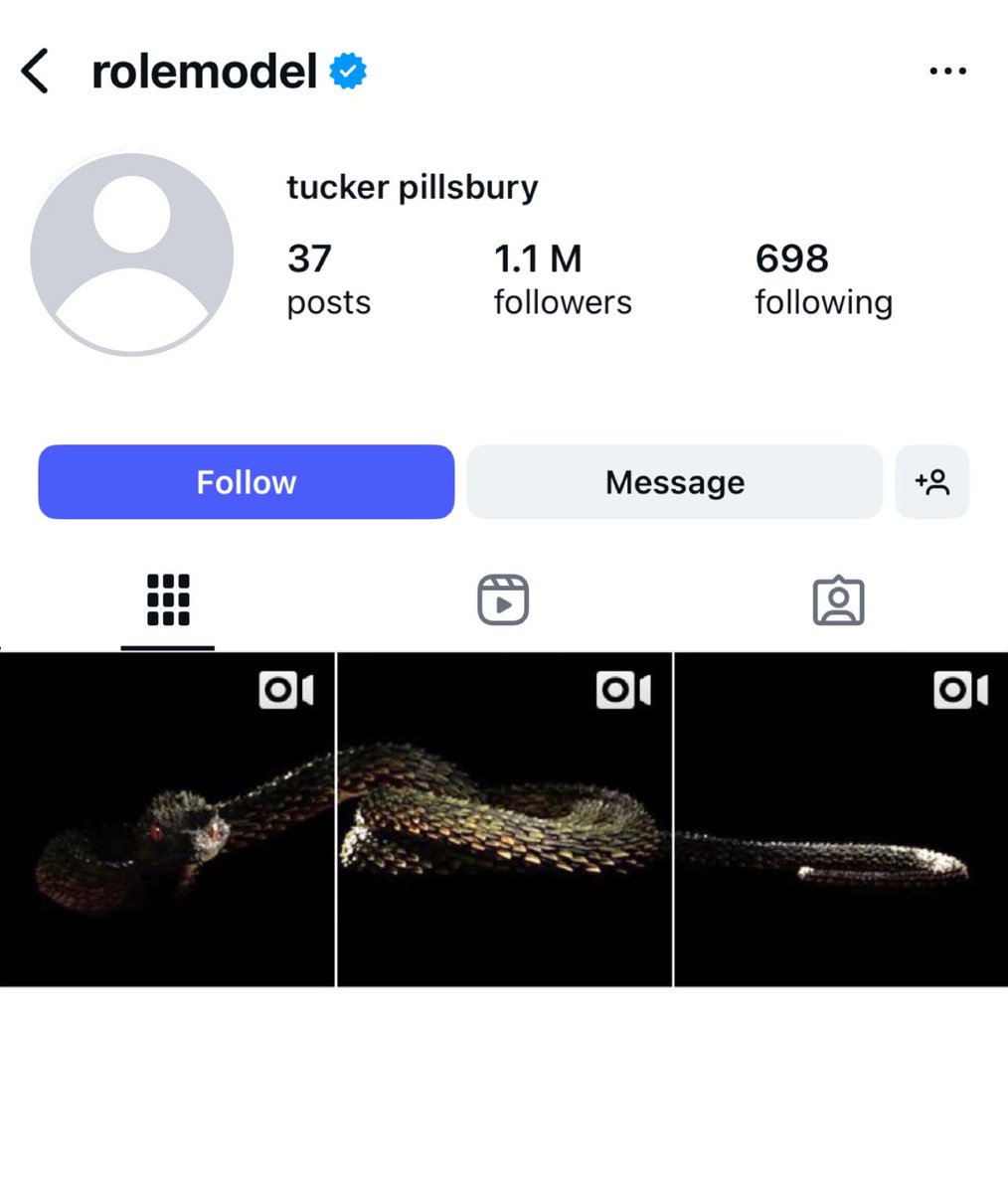 role model has mysteriously cleared his instagram account and posted three cryptic videos of a snake.