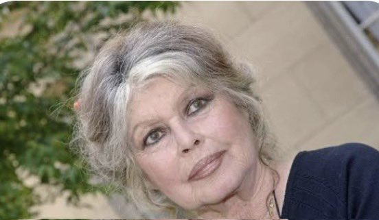 Pensées de soutien à cette grande dame, hospitalisée depuis 3 semaines à Toulon.
BB est devenue une icône de La Défense des animaux. Elle a consacré une grande partie de sa vie à la cause animale, avec un dévouement indéfectible.