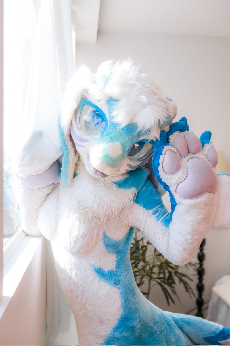 BlazeMir_'s tweet photo. みんなには夕方だけど、シャルにはもう朝なの～🐾☀️

#FursuitFridat #シャル 
📸 : @Mone_Kloe https://t.co/Lqk9jBAgXl