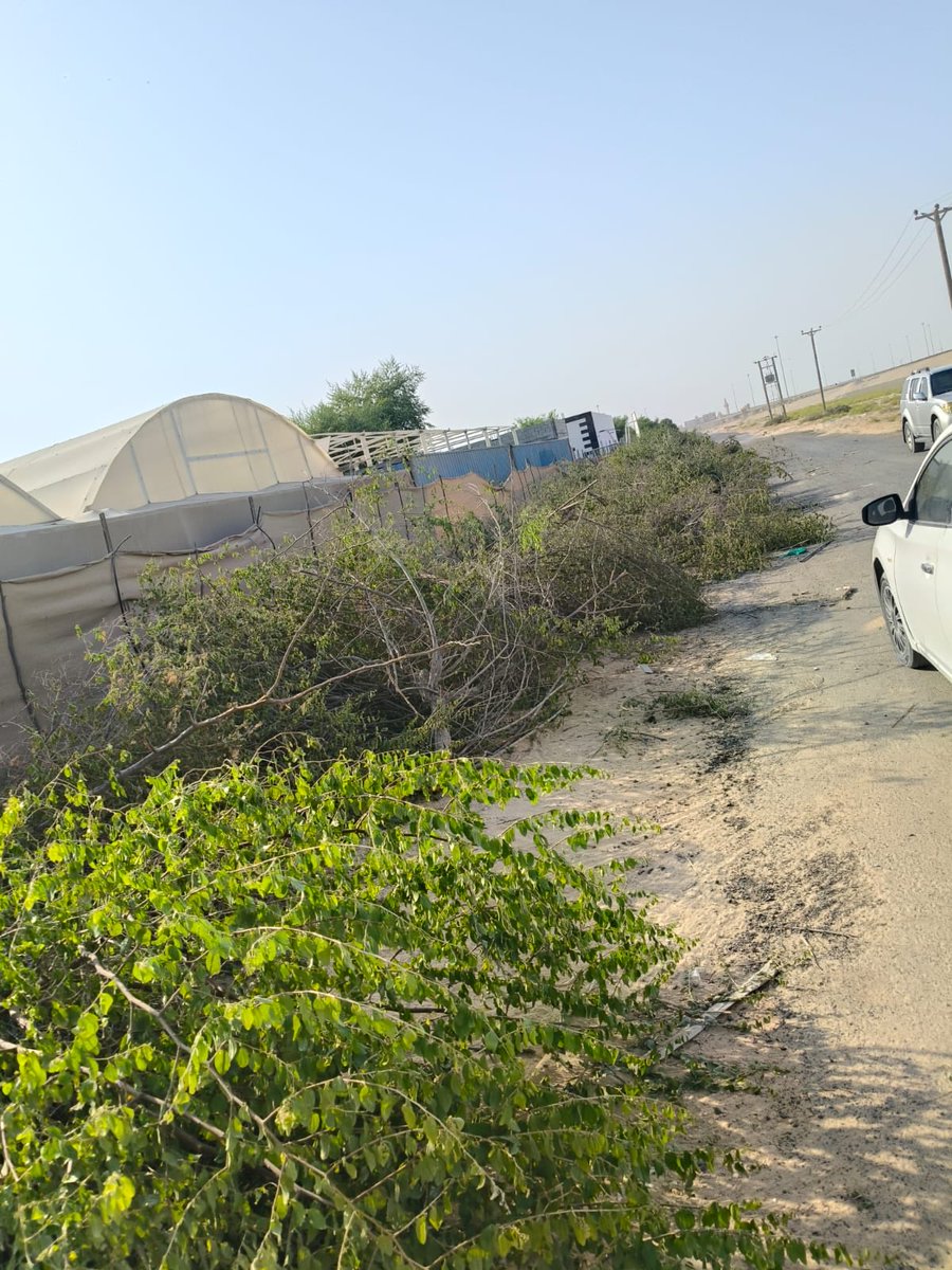 ForumAmbassador's tweet photo. @AbuDhabi_ADM @ADMediaOffice @AbuDhabiDMT @Tadweer_group https://t.co/mKoVeGpyuU