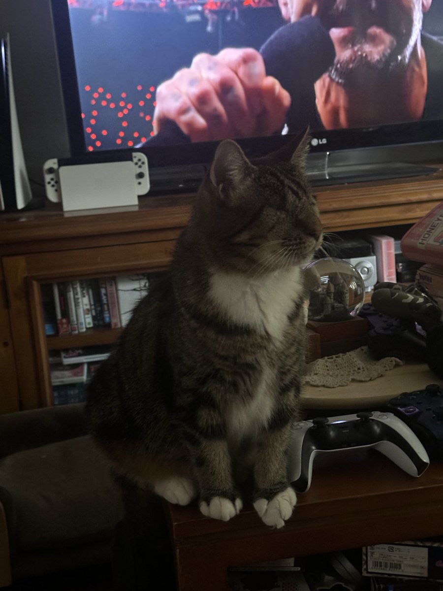 My beautiful blind boy Retnah. 

私の美しい息子