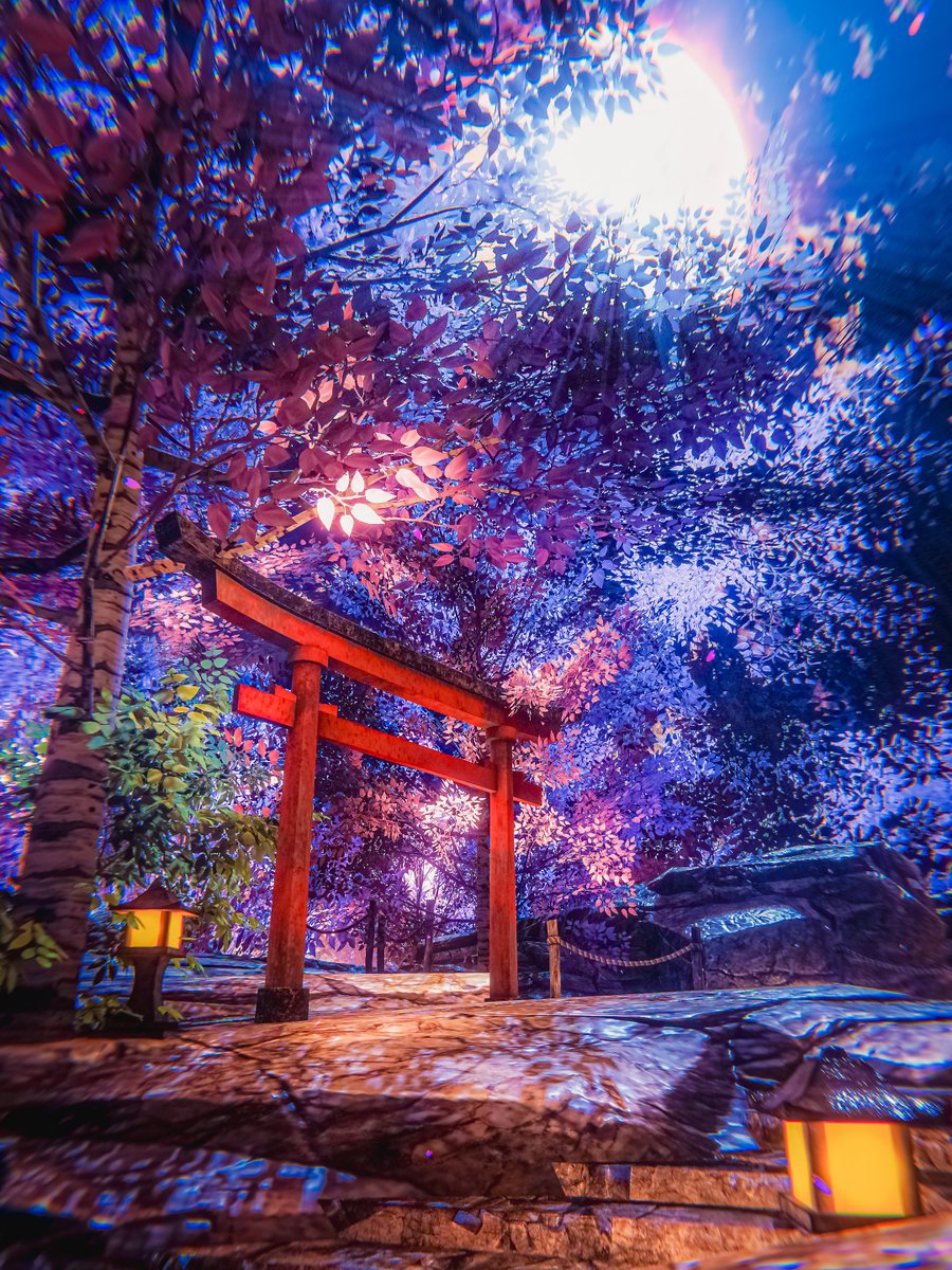 Neomance【VR Photographer】 tweet media