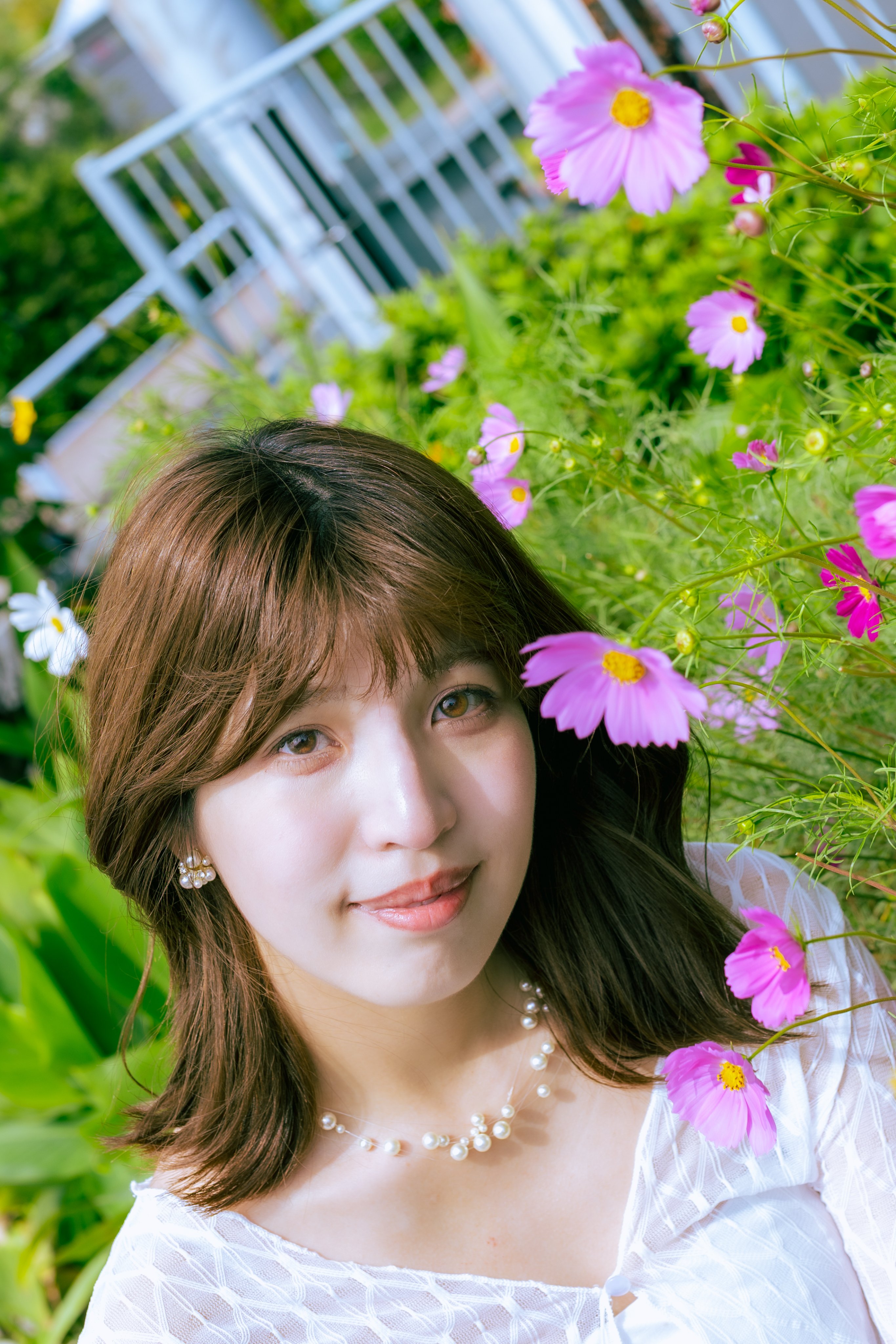 カレン様 楽天市場】新日本カレンダー 2025年 カレンダー 壁掛け 藍染め