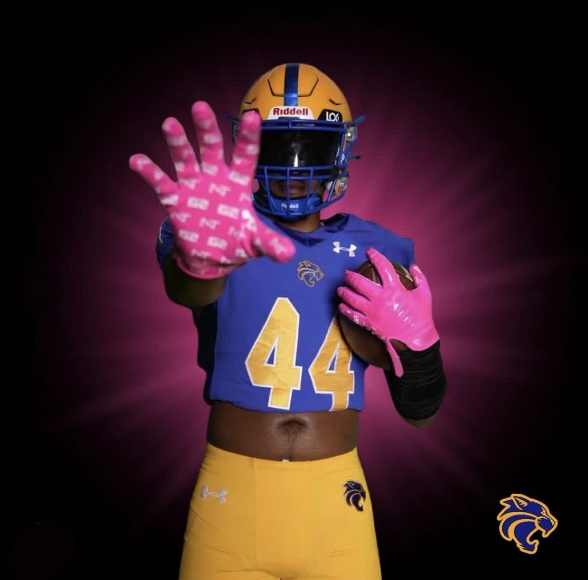 Wildcat Nation tweet media