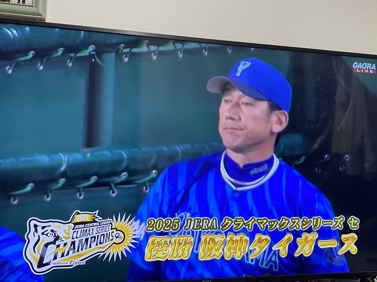 六甲おろしに颯爽と＼ｿｰﾚｲｹｲｹｰ!／蒼天翔けるｩ⤴︎日輪の＼ｿｰﾚｲｹｲｹ-!／ｗｗ青春の覇気ｲｨｗ⤴︎麗しくｗｗ輝く我が名ぞ阪神＼ﾊﾝｼｰﾝ／タイガース＼ﾀｲｶﾞｰｽ／ｵｳｵｳｵｳｵｳ阪神タイガｧｧｧースｗｗﾌﾚｪｪﾌﾚﾌﾚﾌﾚｪｪｪｗｗｗ