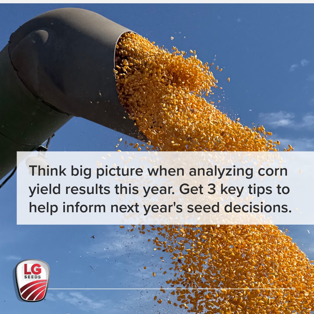 Harvest is in full swing and yield results are coming in. LG Seeds Agronomist Grant Odle shares his advice on using that data for next season’s seed selection in the link below. 

bit.ly/47dgw7B