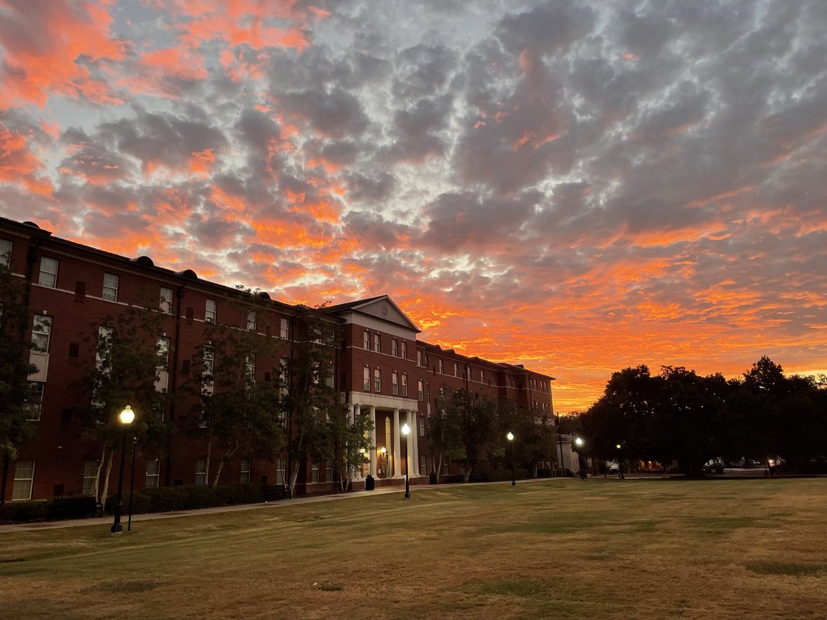 Brian Schubert tweet media