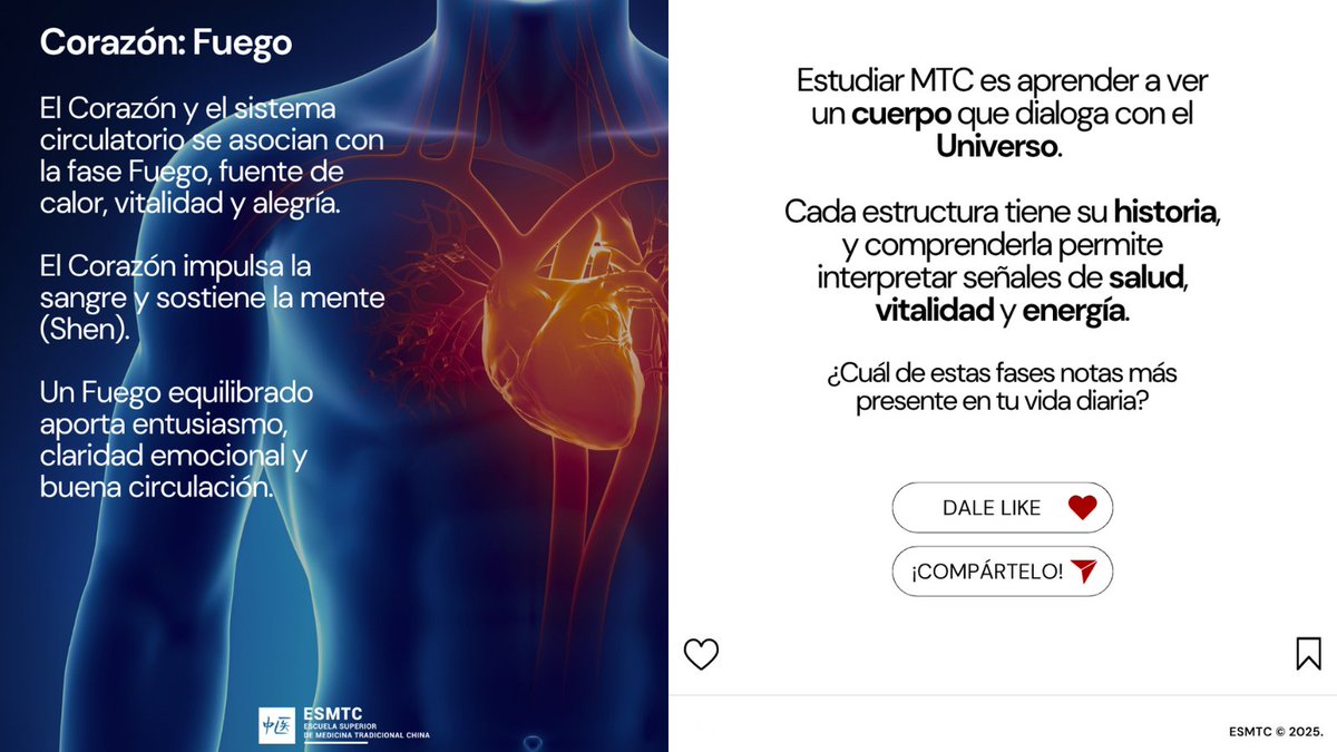 escuelaMTC's tweet photo. En Medicina China, el cuerpo refleja la energía de la naturaleza.
Estructuras Anatómicas y las Cinco Fases en MTC:
Huesos-Agua 💧
Músculos-Tierra 🌍
Tendones-Madera 🌱
Piel-Metal 🍂
Corazón-Fuego🔥
¿Cuál sientes más presente hoy?
#MedicinaChina #CincoElementos https://t.co/UrwQgMs3IO