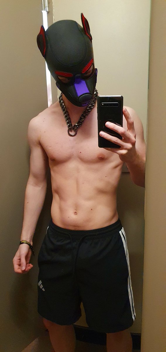 sporty puppy boy 🥎😇