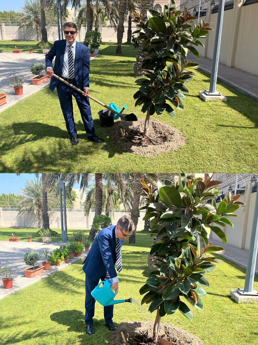 German Embassy in Bahrain tweet media