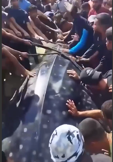 VIDEO: Zeldzame walvishaai die massaal Israël trok, werd gevangen en gedood in Gaza.
De walvishaai, geclassificeerd als een bedreigde diersoort en beschermd onder de Israëlische wet, was eerder deze maand gezien voor de kust van Netanya, Ashdod en Ashkelon ynetnews.com/environment/ar…