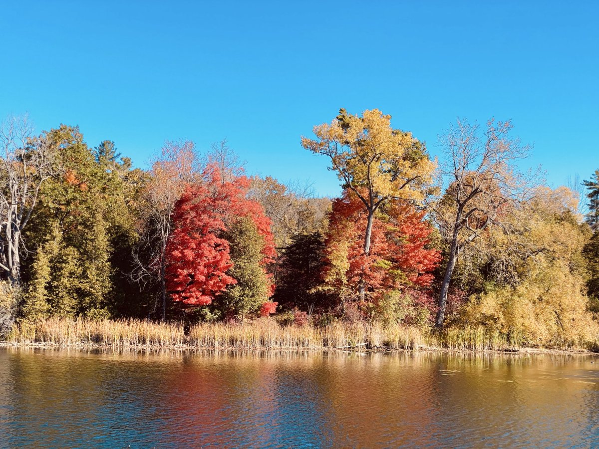 Just heading back to the village