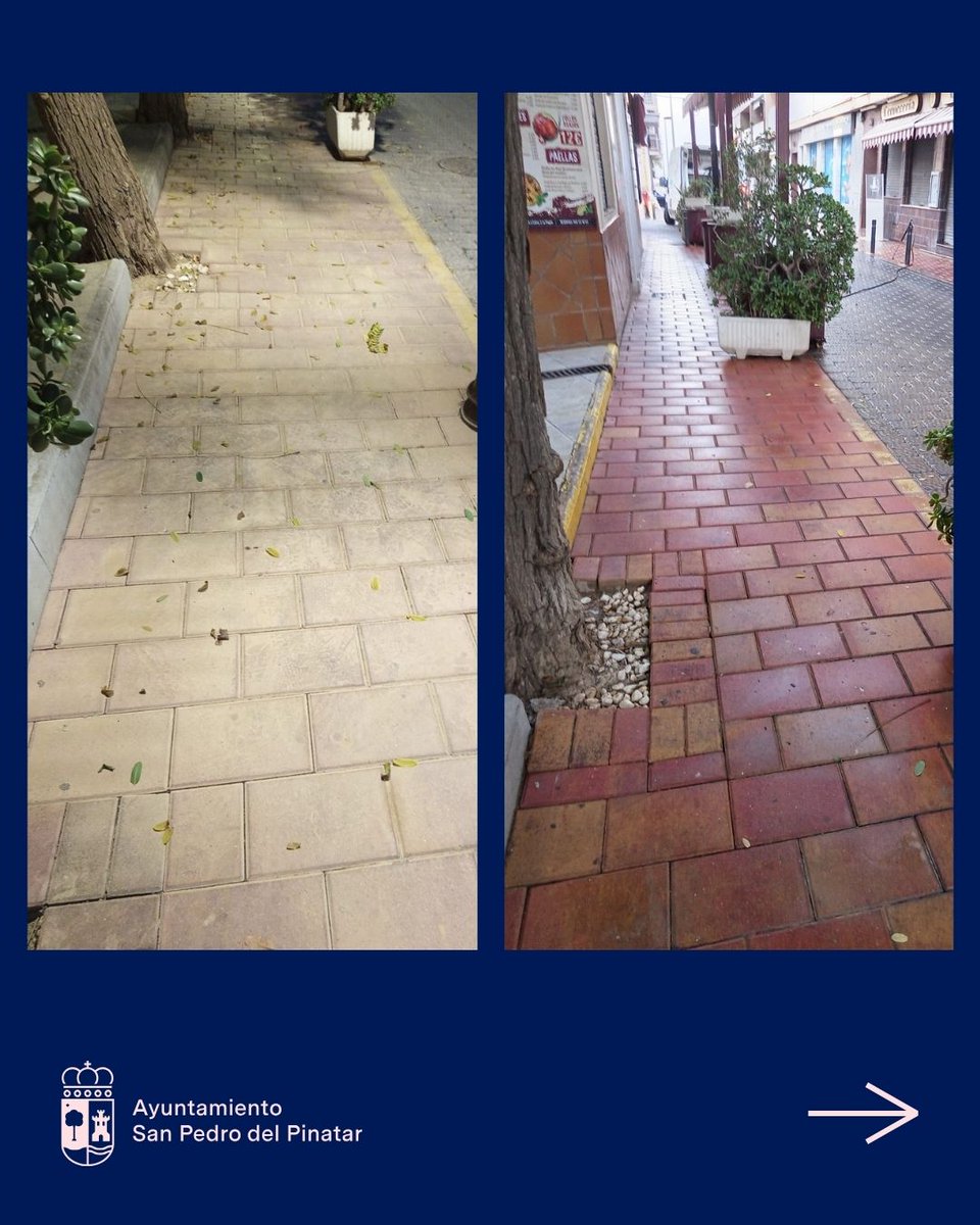 Ayuntamiento de San Pedro del Pinatar tweet media