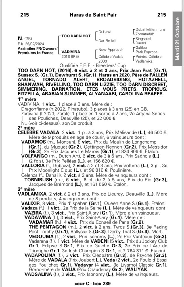 saint_pair's tweet image. ARQANAOct Sale🟠⚪️
A well bred filly by #TOODARNHOT.@DarleyStallions sire Of the Crack Fallen Angel.
Lot 2️⃣1️⃣5️⃣ dam winner &amp;amp; 1/2 sister to VADAMOS Gr1W, also from Great family from several Gr1W Vadeni, Vadawina, Vazira, Valixir . @AgaKhanStuds 
📍See you Yard C 
📸 @zuzanna_lupa