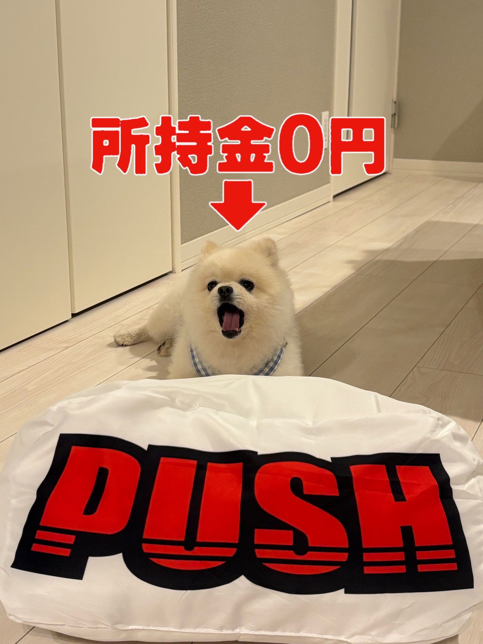 ♡ニャンころ♡プロフ必読♡様 😴