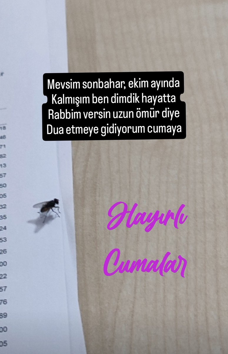 Hayırlı cumalar