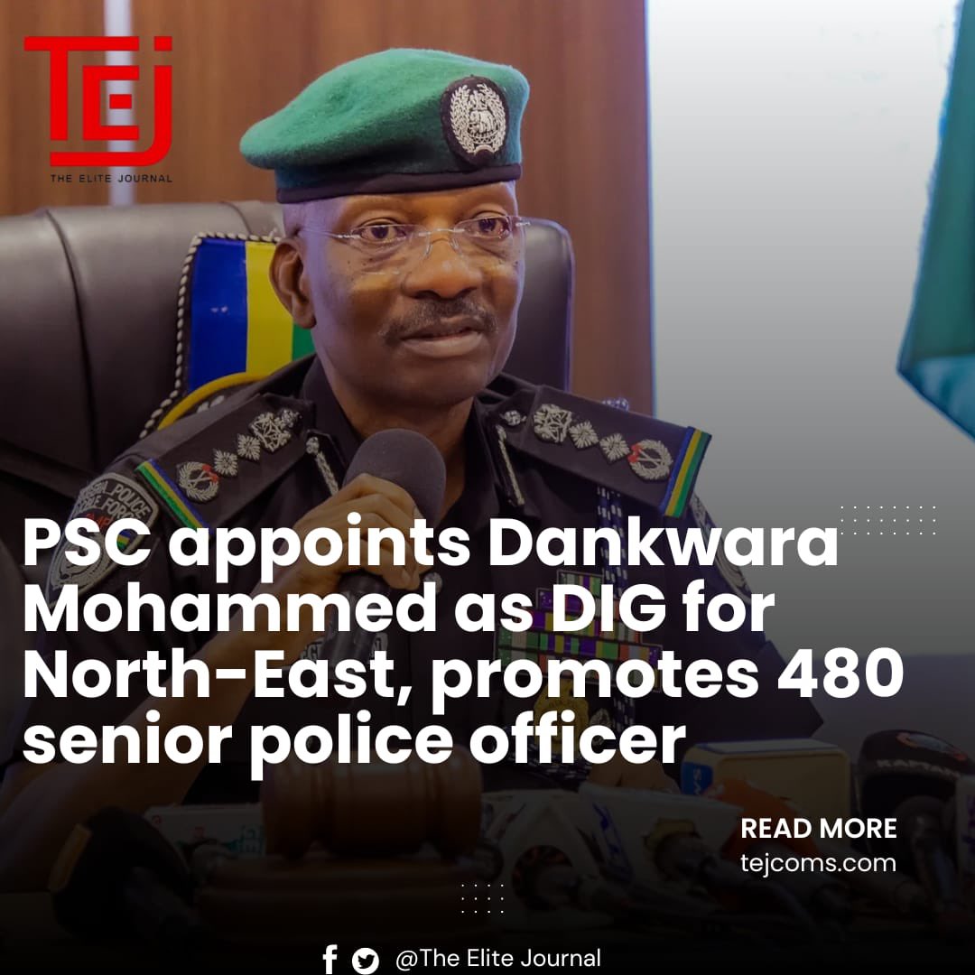 PSC appoints Dankwara Mohammed as DIG for North-East, promotes 480 senior police officer

tejcoms.com/psc-appoints-d…