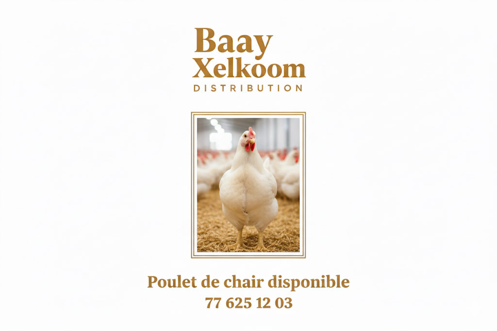 Produit frais de qualité : Nos poulets de chair sont DISPONIBLES.
Réservez votre commande au 77 625 12 03.
Baay Xelkoom Distribution
#pouletsdechair #guinar 
instagram.com/p/DP4mqeTjW6-/…