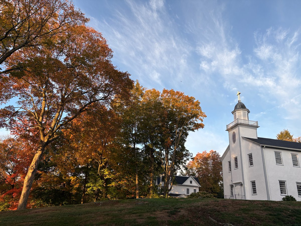 10/17 on Samantha Heller's Health &amp; Nutrition Show, <a href="/NYUDocs/">Doctor Radio</a> , 12-2 pm ET: #RD Dr Caroline Passerrello health halos surrounding your fav foods. <a href="/MichiganChem/">Michigan Chemistry</a> explains the importance of  #traceelements.Dr Lauren Colenso-Semple on pros/cons #weightedvests. Open phones 877-NYU-DOCS