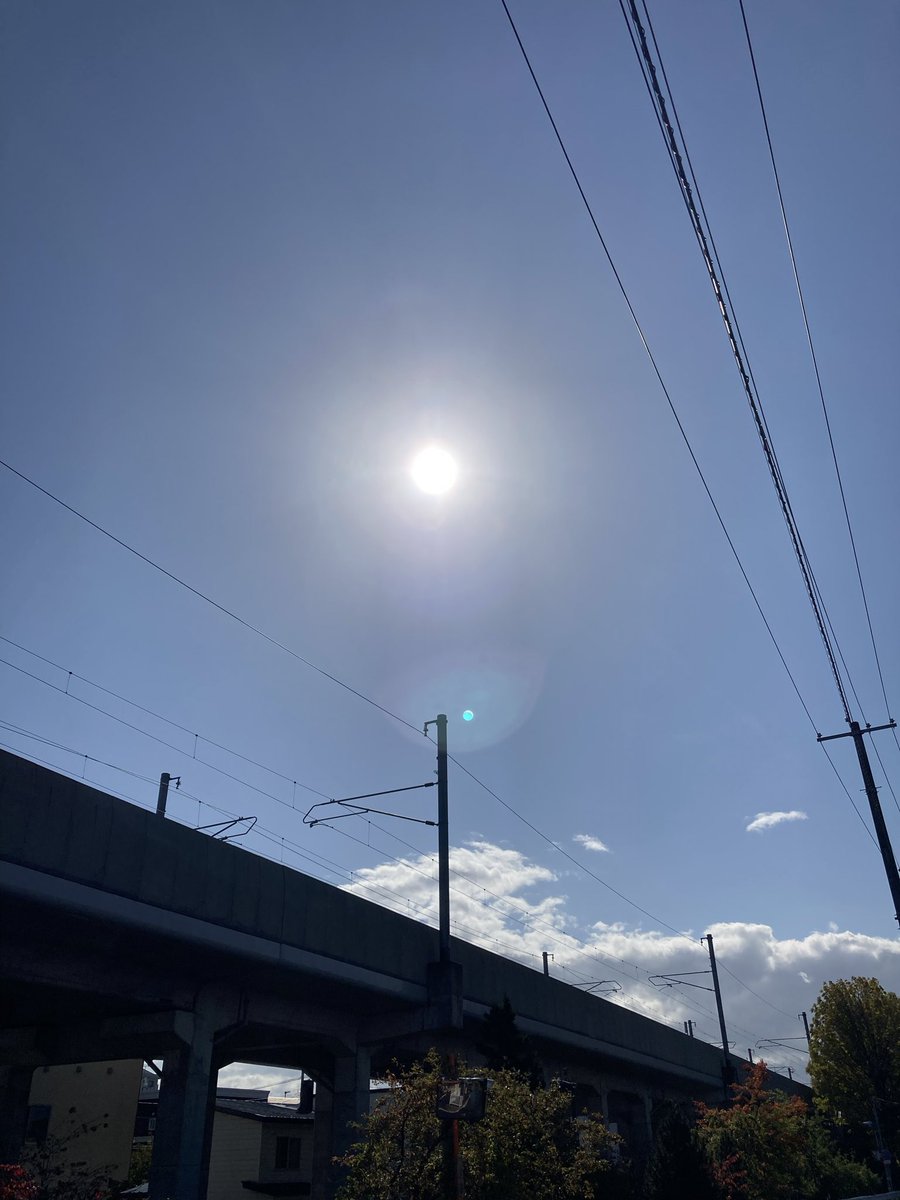 Good morning ☀️🕊️💕Afternoon 🍊
Evening 🍇 night ✨🦉