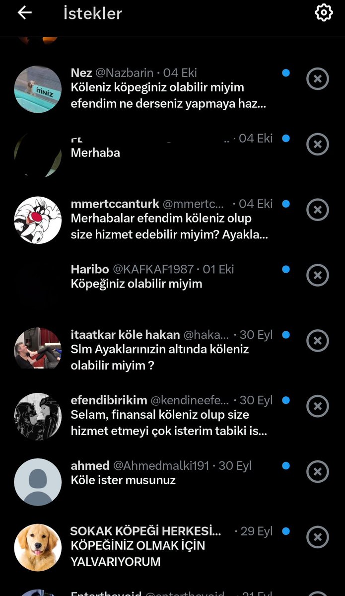 Zazuuu🇹🇷҉͜͡✭𓃥 tweet media