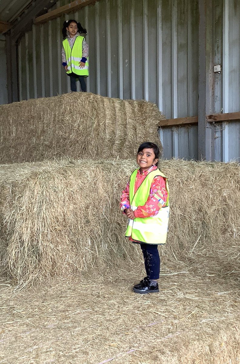 We had such fun on the hay bales after lunch. We used all of our learning about climbing, running and jumping! <a href="/HazelSchool/">Hazel Community Primary School</a>