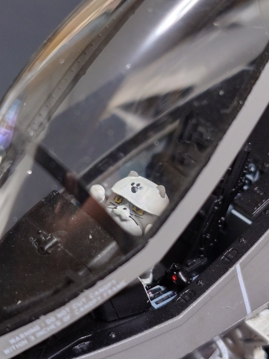 takacchi1729's tweet image. 仕事猫をF35Cに乗せてみた
ご満悦？！
＃F35C
＃仕事猫