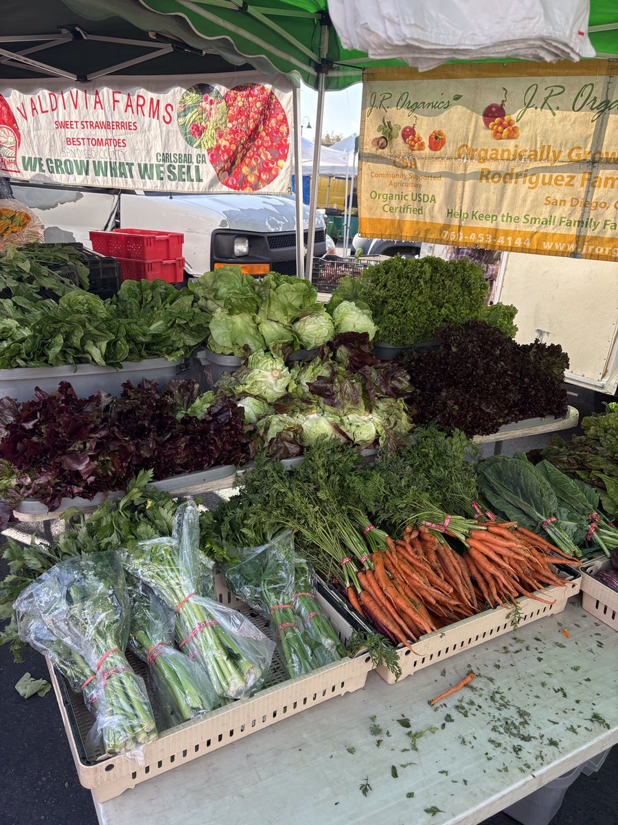 PaulaMaier3's tweet image. I love shopping at local farmers markets!

#BuyLocal #FarmersMarkets