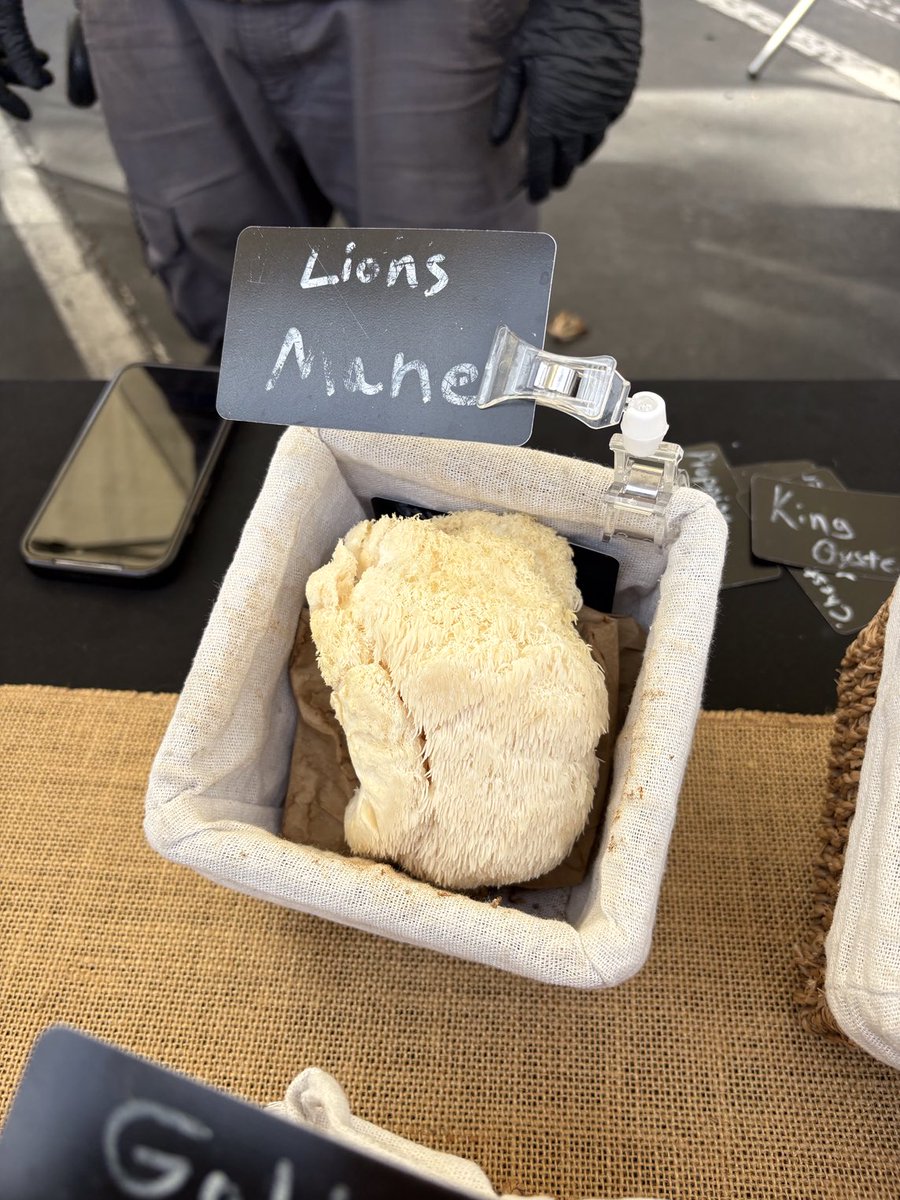 PaulaMaier3's tweet image. I love shopping at local farmers markets!

#BuyLocal #FarmersMarkets