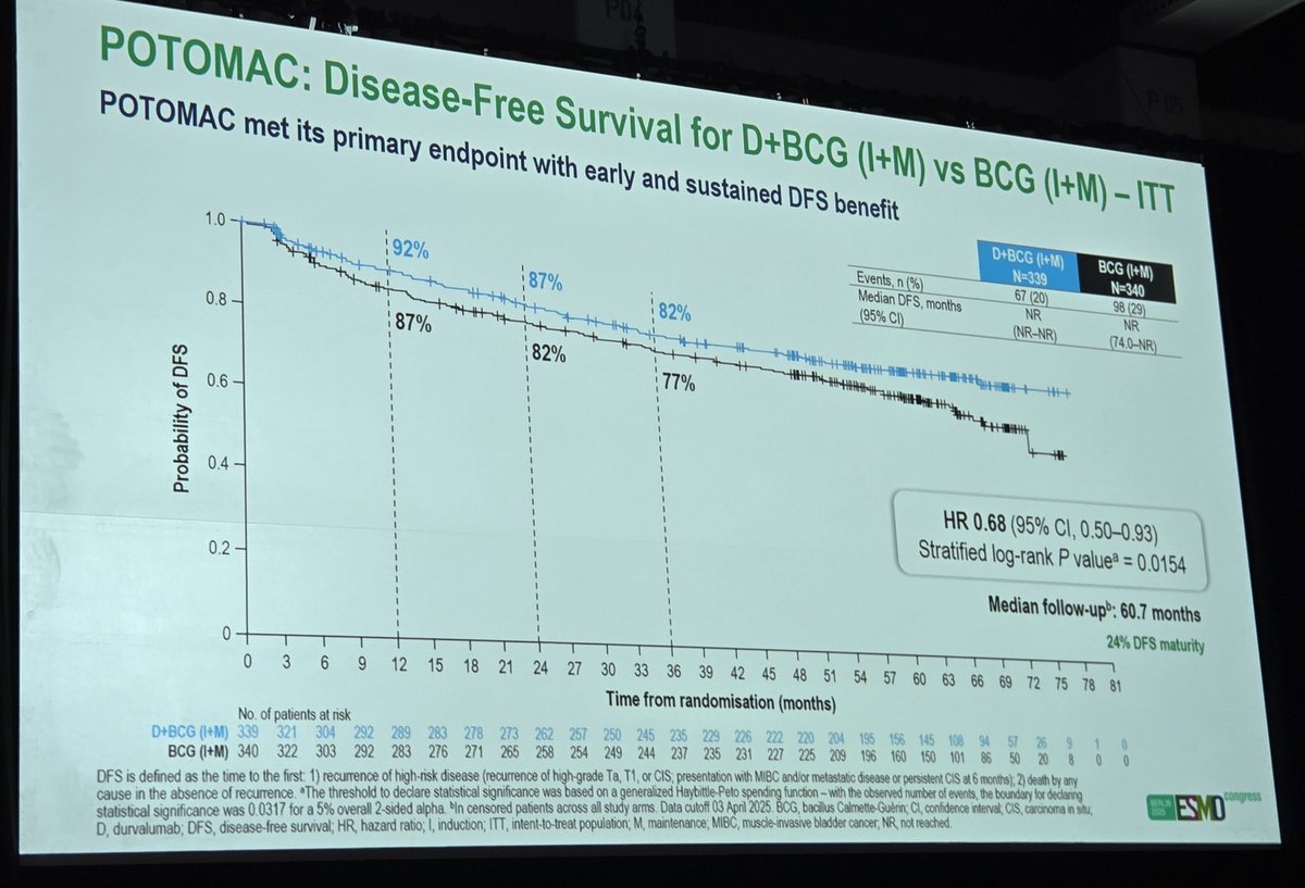 Roberto Iacovelli tweet media